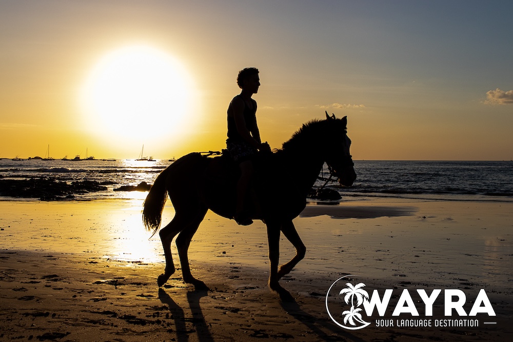 Reiten am Strand bei Sonnenuntergang in Costa Rica