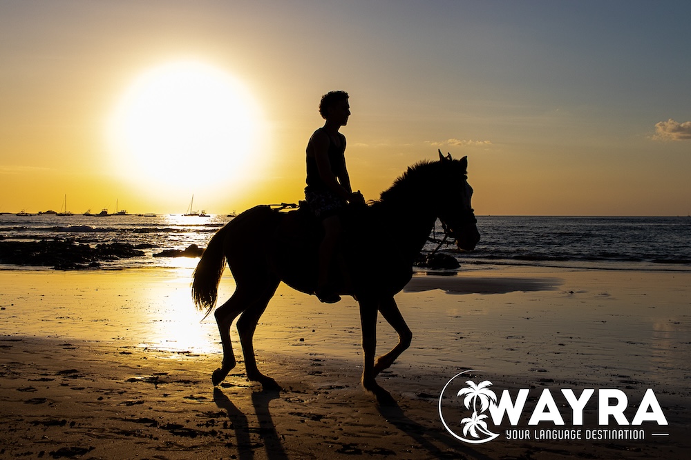 Things to Do in Tamarindo, Costa Rica: A Complete Guide to Pura Vida Living