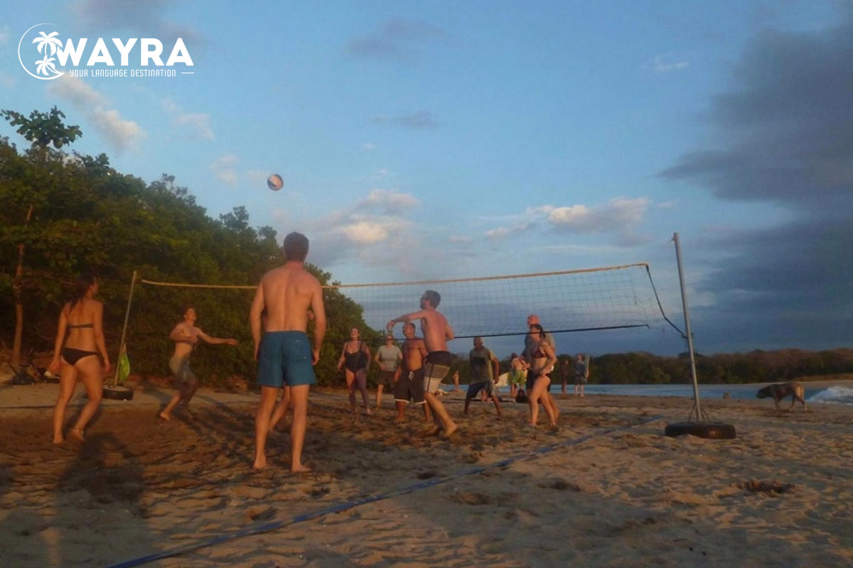 Volleyball vs Sunset