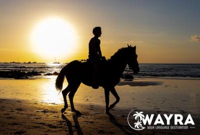 Person horseback riding on the beach at sunset in Costa Rica